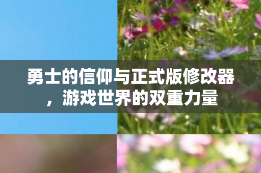 勇士的信仰与正式版修改器图片