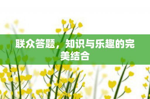 知识与乐趣的完美结合图片