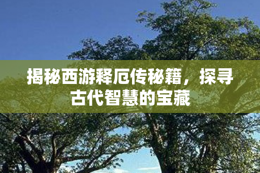 揭秘西游释厄传秘籍图片