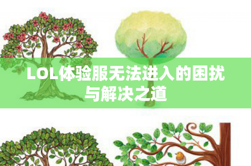 LOL体验服无法进入的困扰与解决之道图片