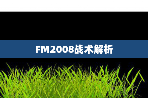 FM2008战术解析图片