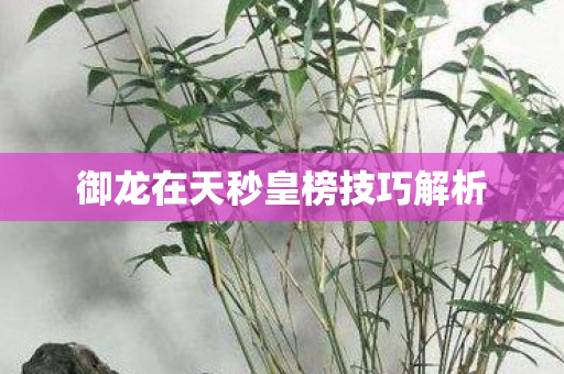 御龙在天秒皇榜技巧解析图片