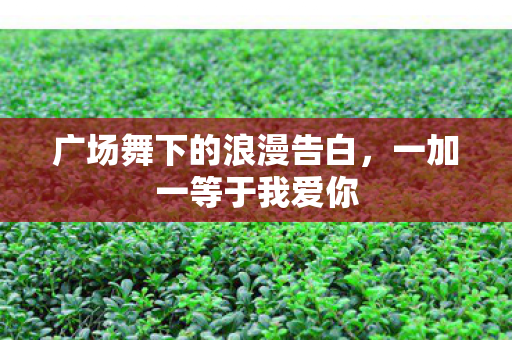 广场舞下的浪漫告白图片