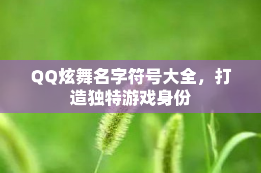 QQ炫舞名字符号大全图片