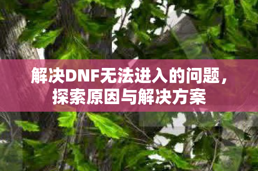 解决DNF无法进入的问题图片
