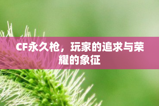 玩家的追求与荣耀的象征图片
