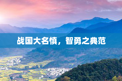 战国大名慎图片
