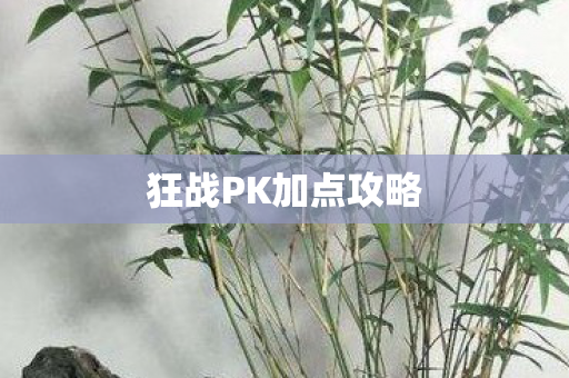 狂战PK加点攻略图片