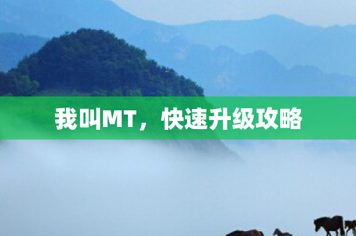 快速升级攻略图片