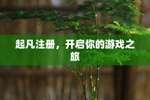 开启你的游戏之旅图片