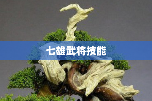 七雄武将技能图片