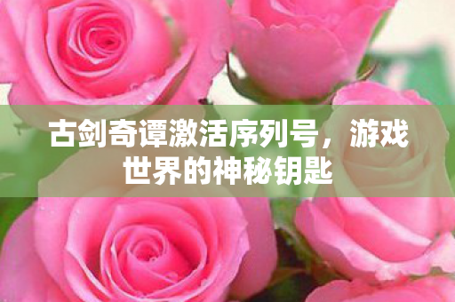 古剑奇谭激活序列号图片