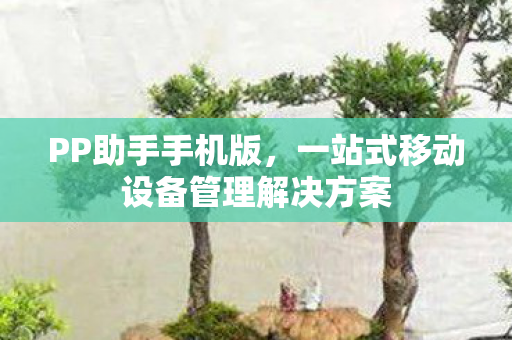 一站式移动设备管理解决方案图片