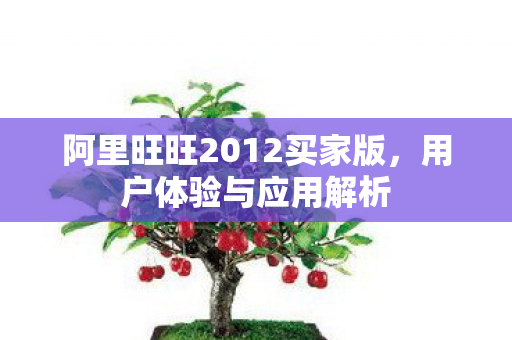 阿里旺旺2012买家版图片