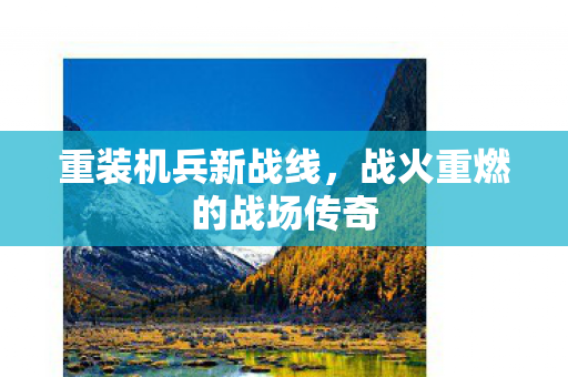 战火重燃的战场传奇图片