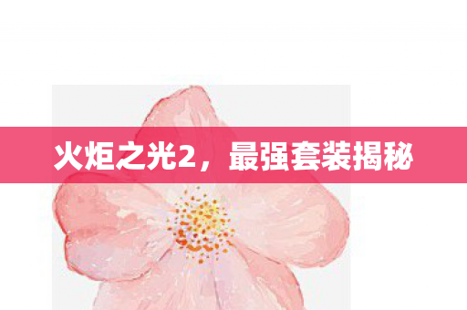 最强套装揭秘图片