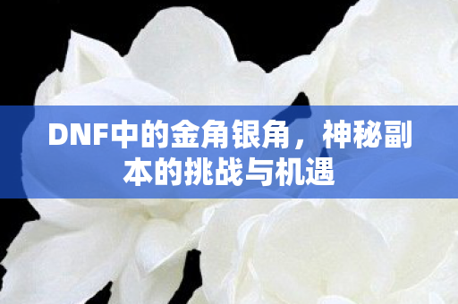 神秘副本的挑战与机遇图片