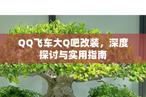 QQ飞车大Q吧改装图片