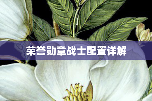 荣誉勋章战士配置详解图片