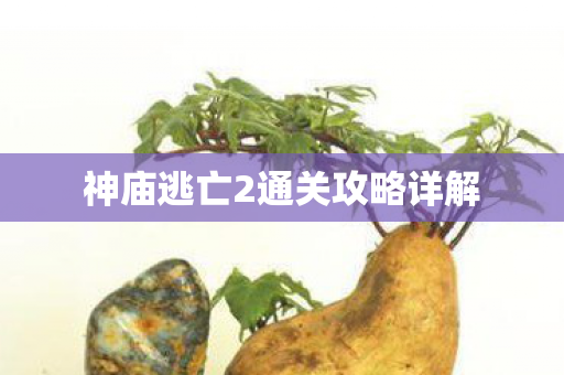 神庙逃亡2通关攻略详解图片