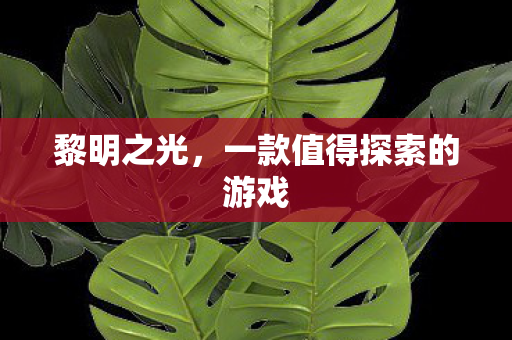 一款值得探索的游戏图片