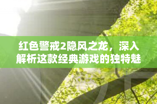 深入解析这款经典游戏的独特魅力图片