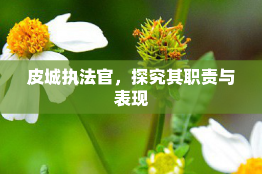 探究其职责与表现图片
