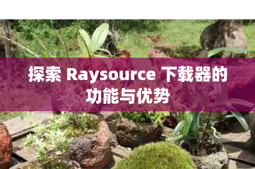 探索 Raysource 下载器的功能与优势图片