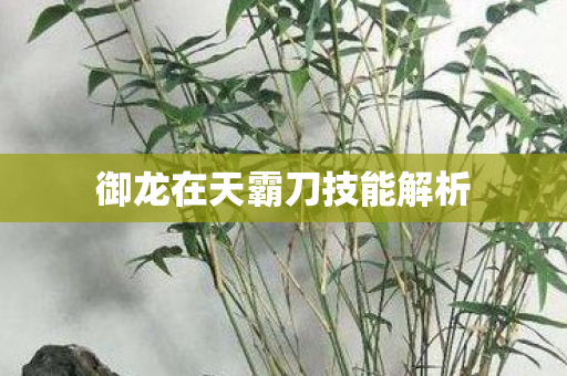 御龙在天霸刀技能解析图片