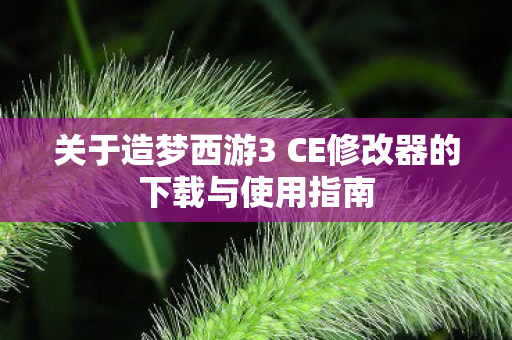 关于造梦西游3 CE修改器的下载与使用指南图片