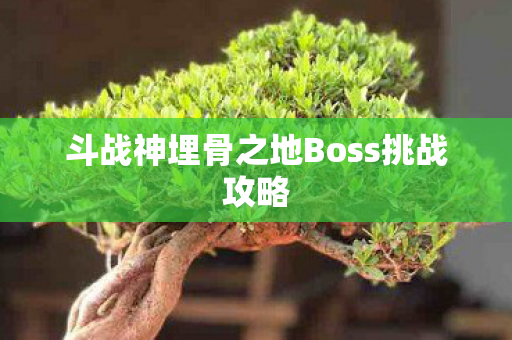 斗战神埋骨之地Boss挑战攻略图片