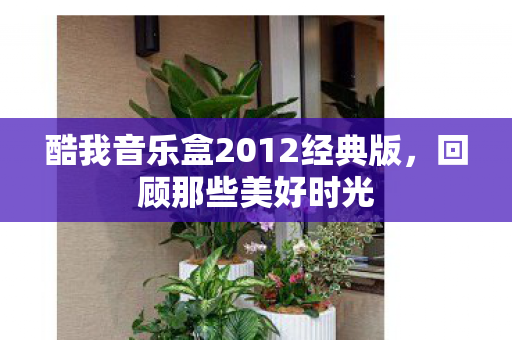 酷我音乐盒2012经典版图片
