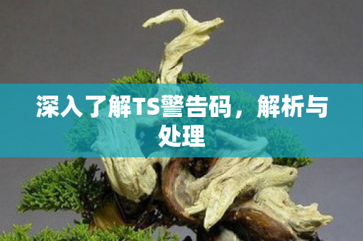 深入了解TS警告码图片