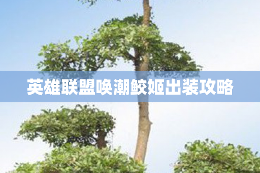 英雄联盟唤潮鲛姬出装攻略图片