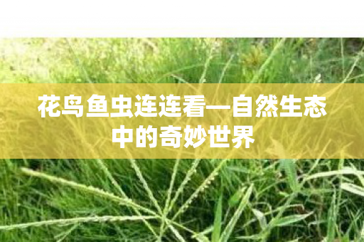 自然生态中的奇妙世界图片