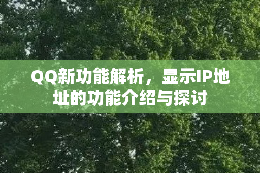 显示IP地址的功能介绍与探讨图片