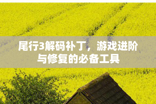游戏进阶与修复的必备工具图片