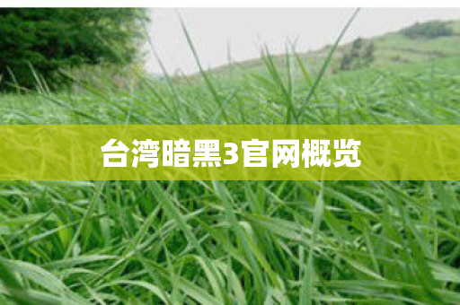 台湾暗黑3官网概览图片