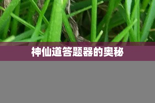 神仙道答题器的奥秘图片