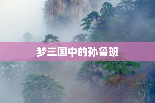 梦三国中的孙鲁班图片