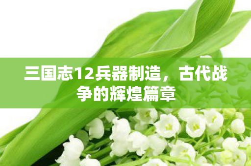 三国志12兵器制造图片