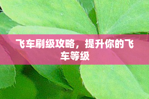 提升你的飞车等级图片