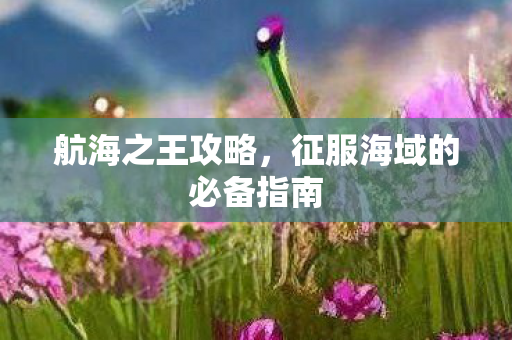 征服海域的必备指南图片