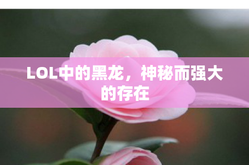 神秘而强大的存在图片
