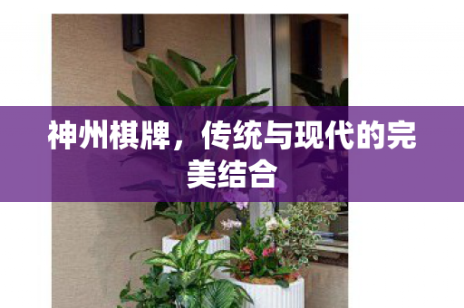 传统与现代的完美结合图片