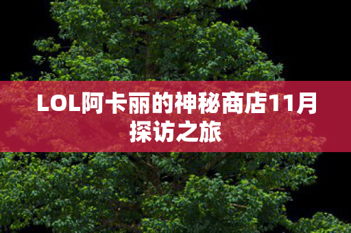 LOL阿卡丽的神秘商店11月探访之旅图片