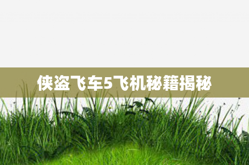 侠盗飞车5飞机秘籍揭秘图片