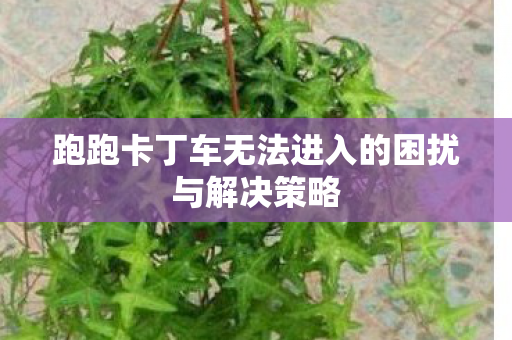 跑跑卡丁车无法进入的困扰与解决策略图片