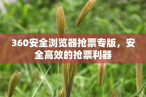 360安全浏览器抢票专版图片