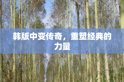重塑经典的力量图片